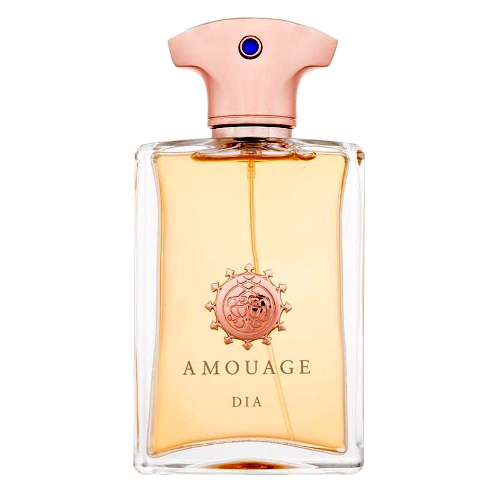 Amouage Dia Eau de Parfum 100ml for Men