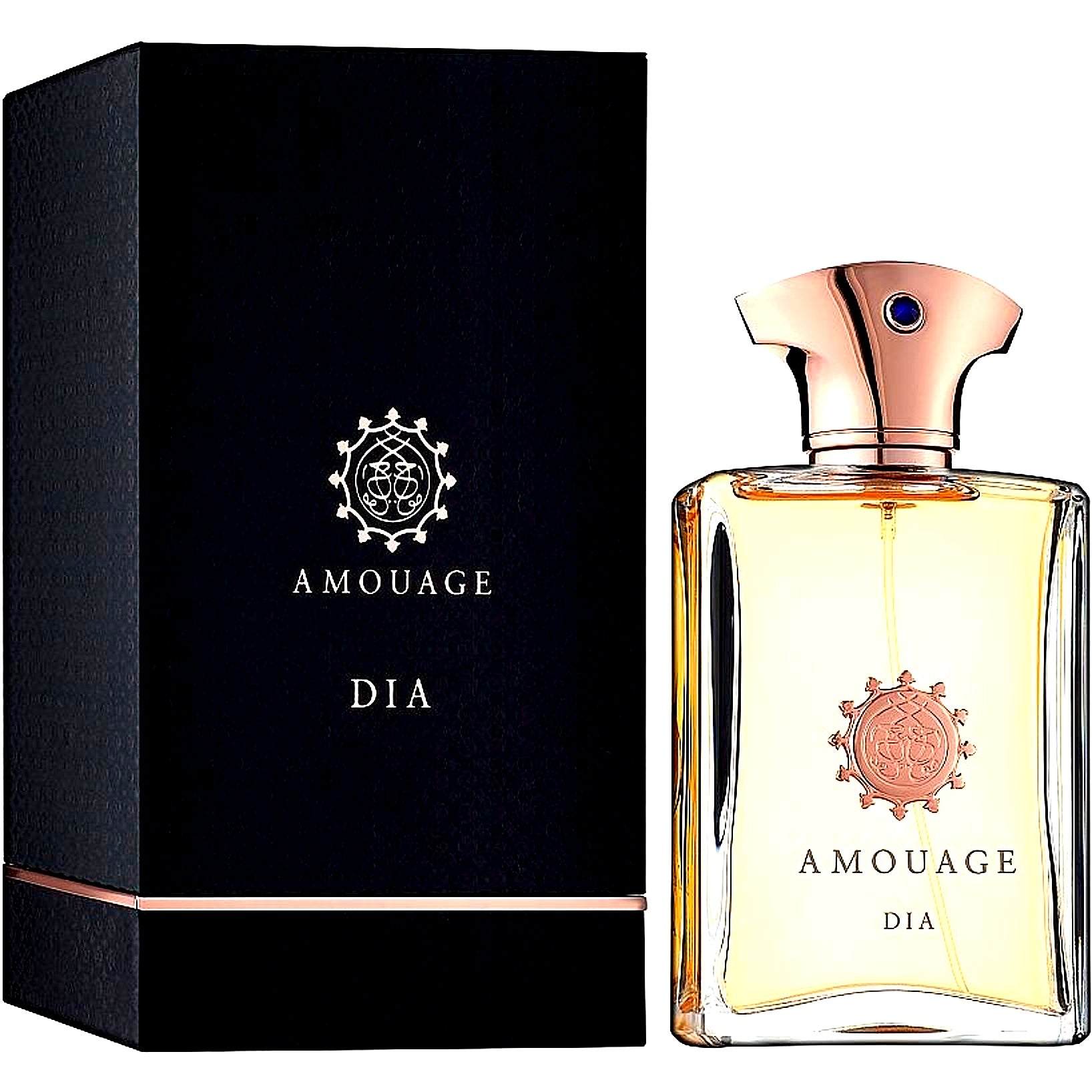 Amouage Dia Eau de Parfum 100ml for Men