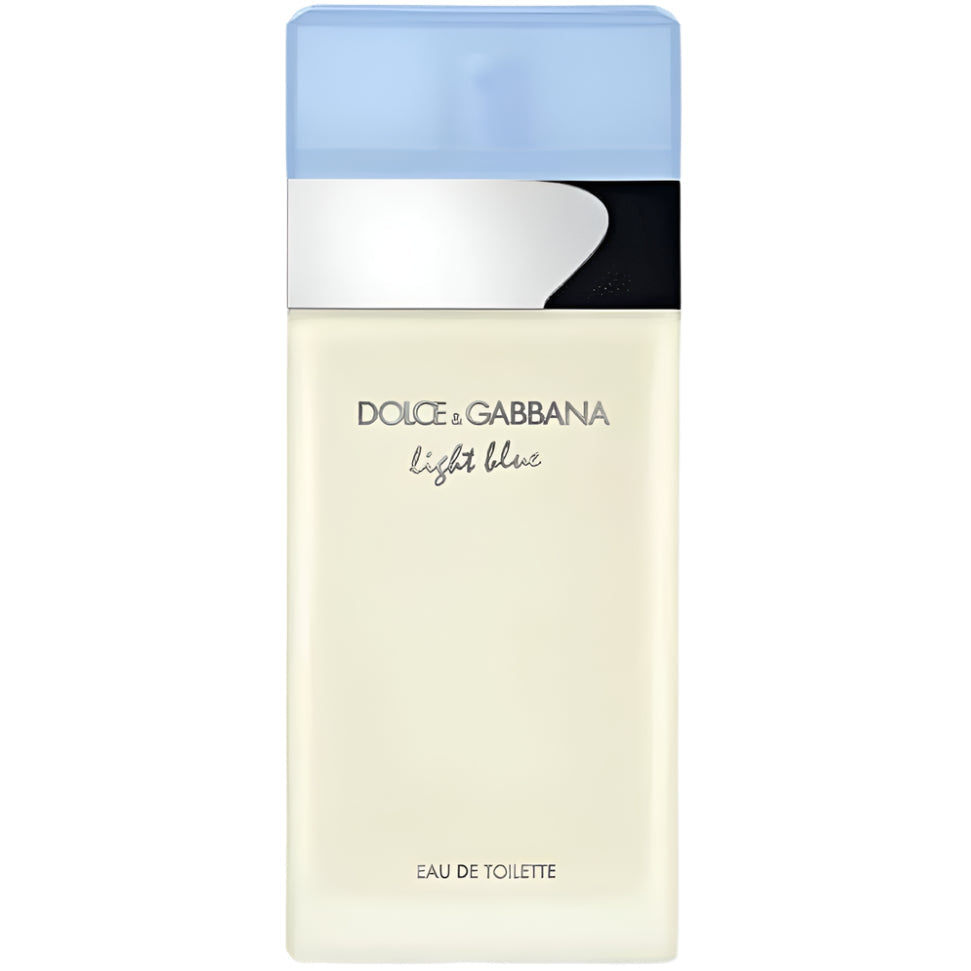 Dolce & Gabbana Light Blue Eau De Toilette 100ml for Women