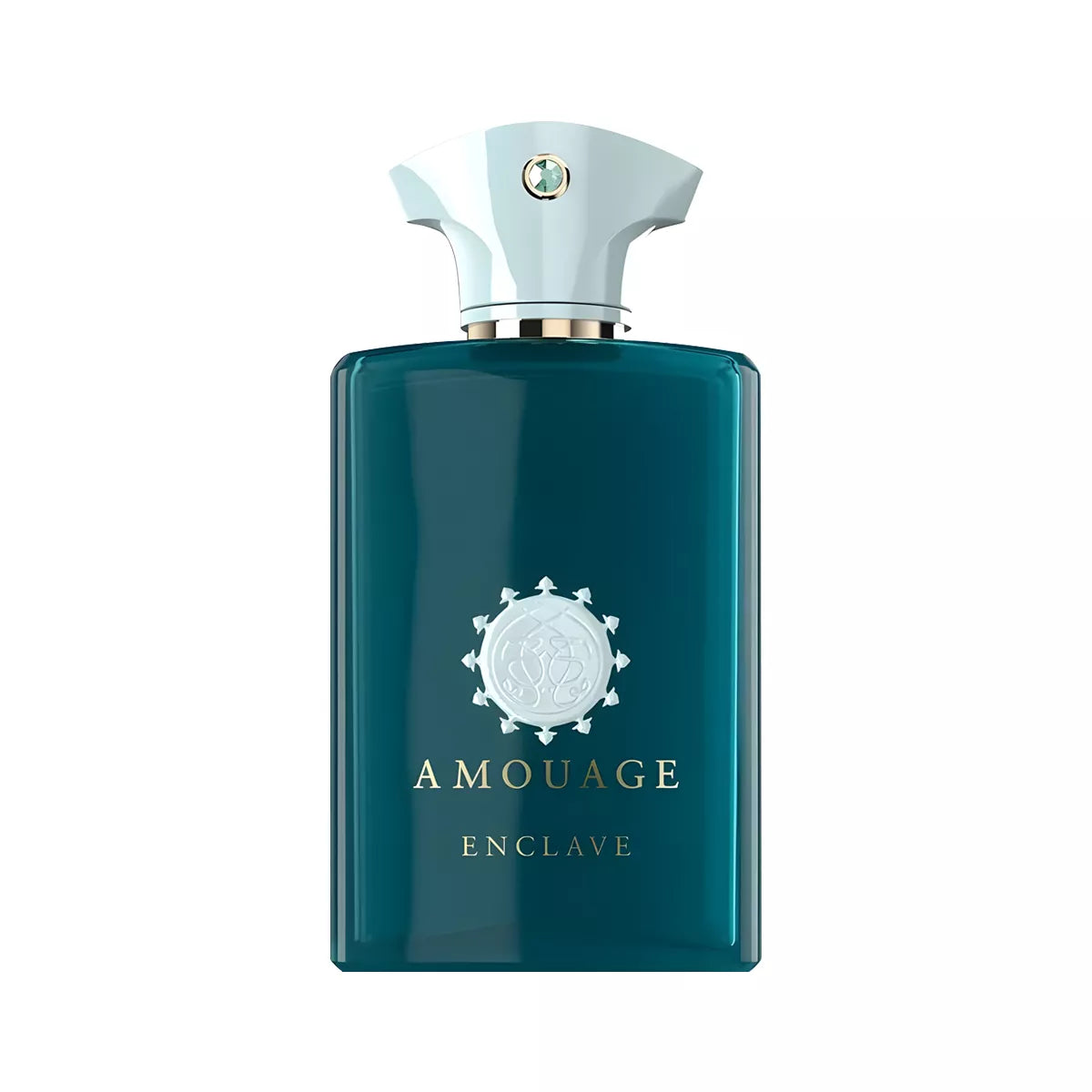Amouage Enclave Eau de Parfum 100ml Amber Fougere Men’s Niche Perfume