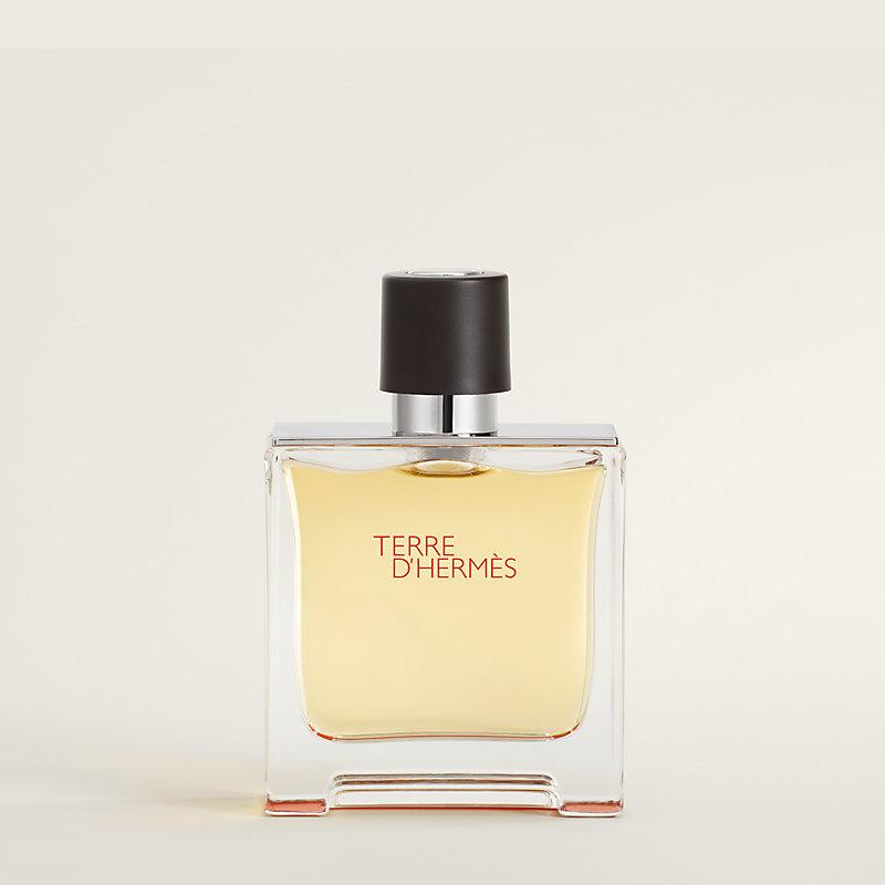 Hermes Terre D Hermes Eau De Parfum for Men