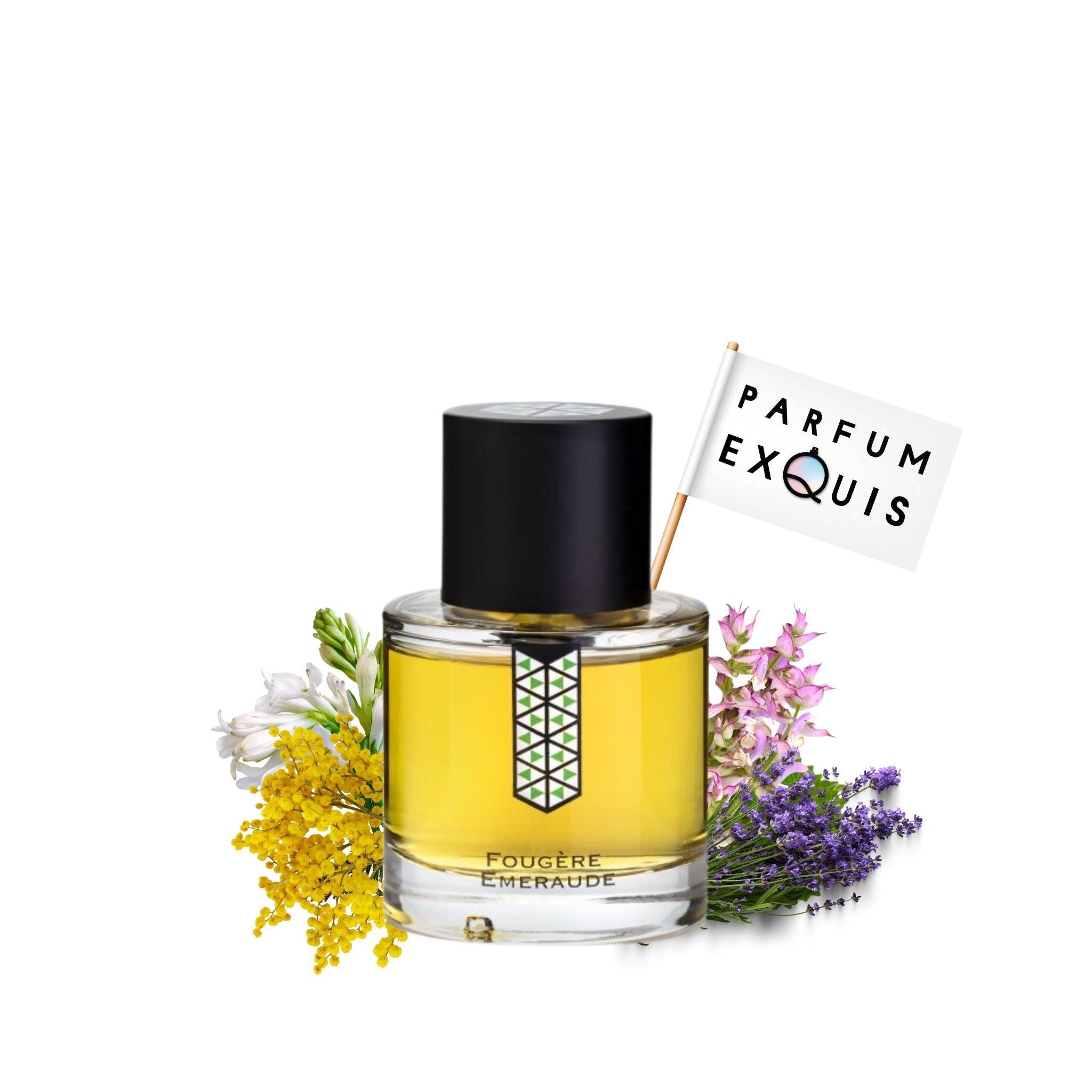 Les Indémodables Fougère Émeraude Eau de Parfum 50ml – Floriental Fougère Unisex Perfume