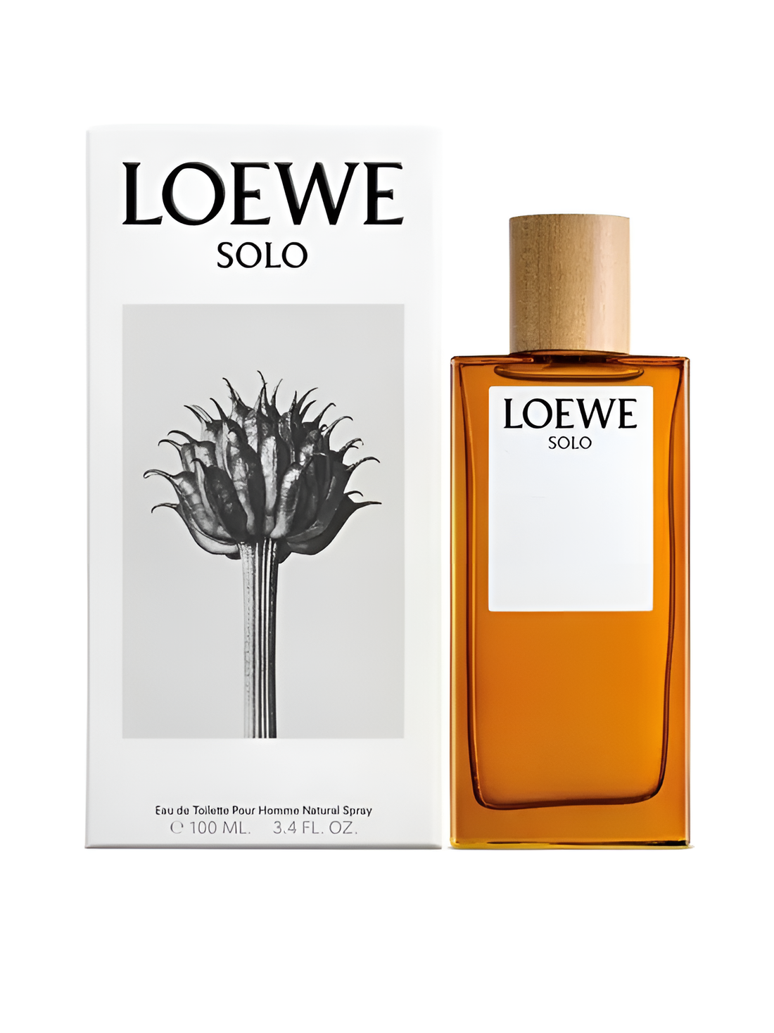 Loewe Solo Eau De Toilette 100ml for Men