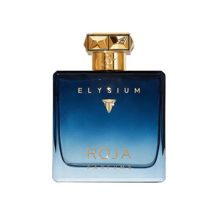 Roja Parfums Apex Eau De Parfum 100ml for Men – Bold Citrus Chypre Scent